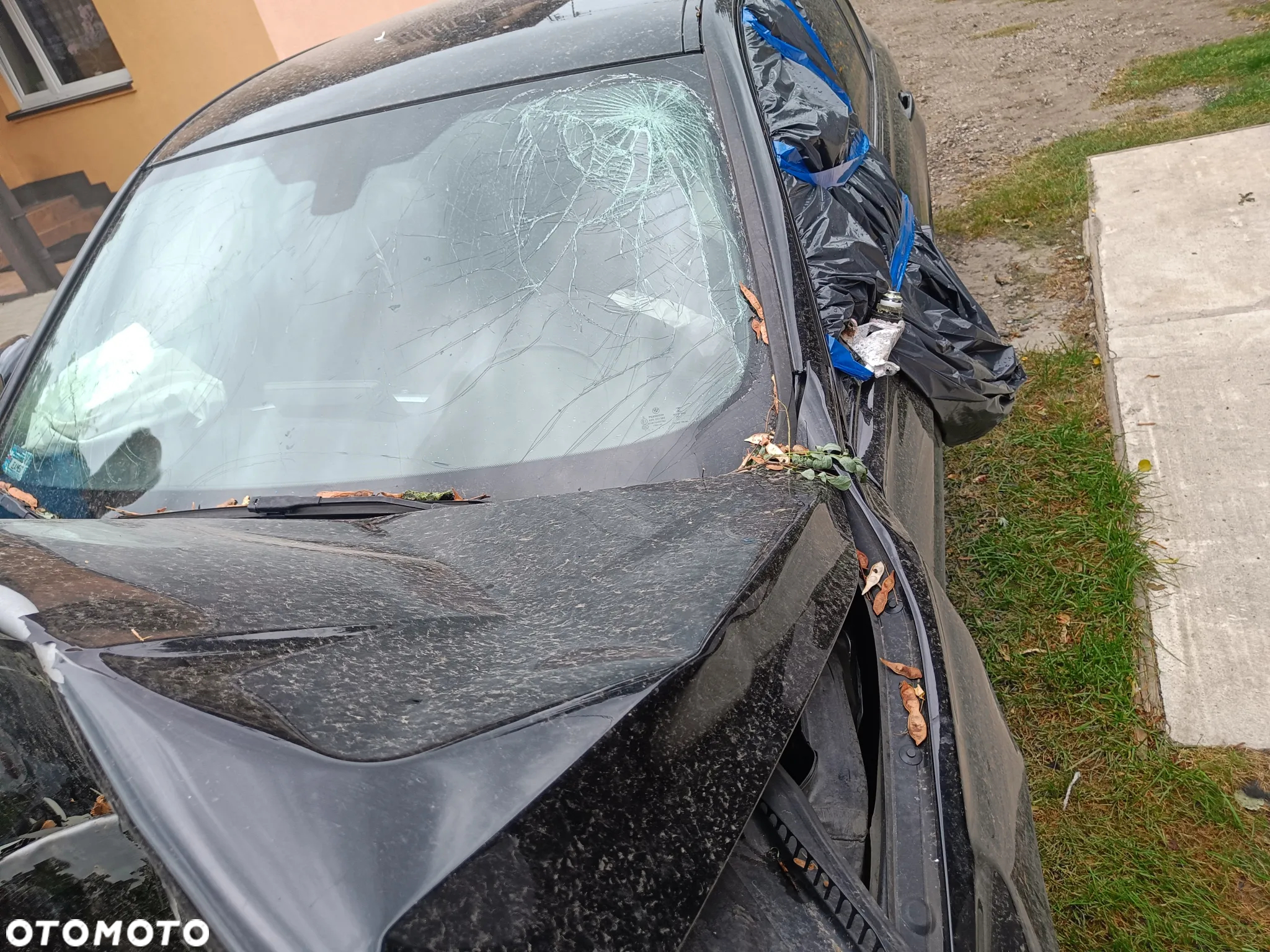 BMW Seria 3 - 34
