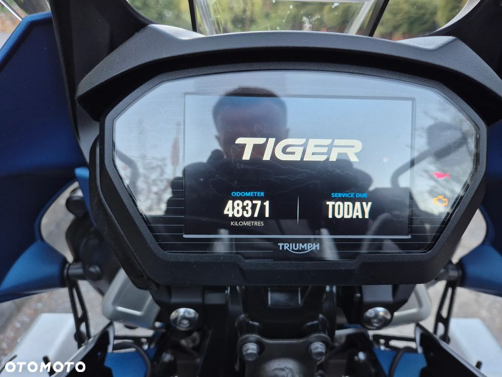 Triumph Tiger - 13