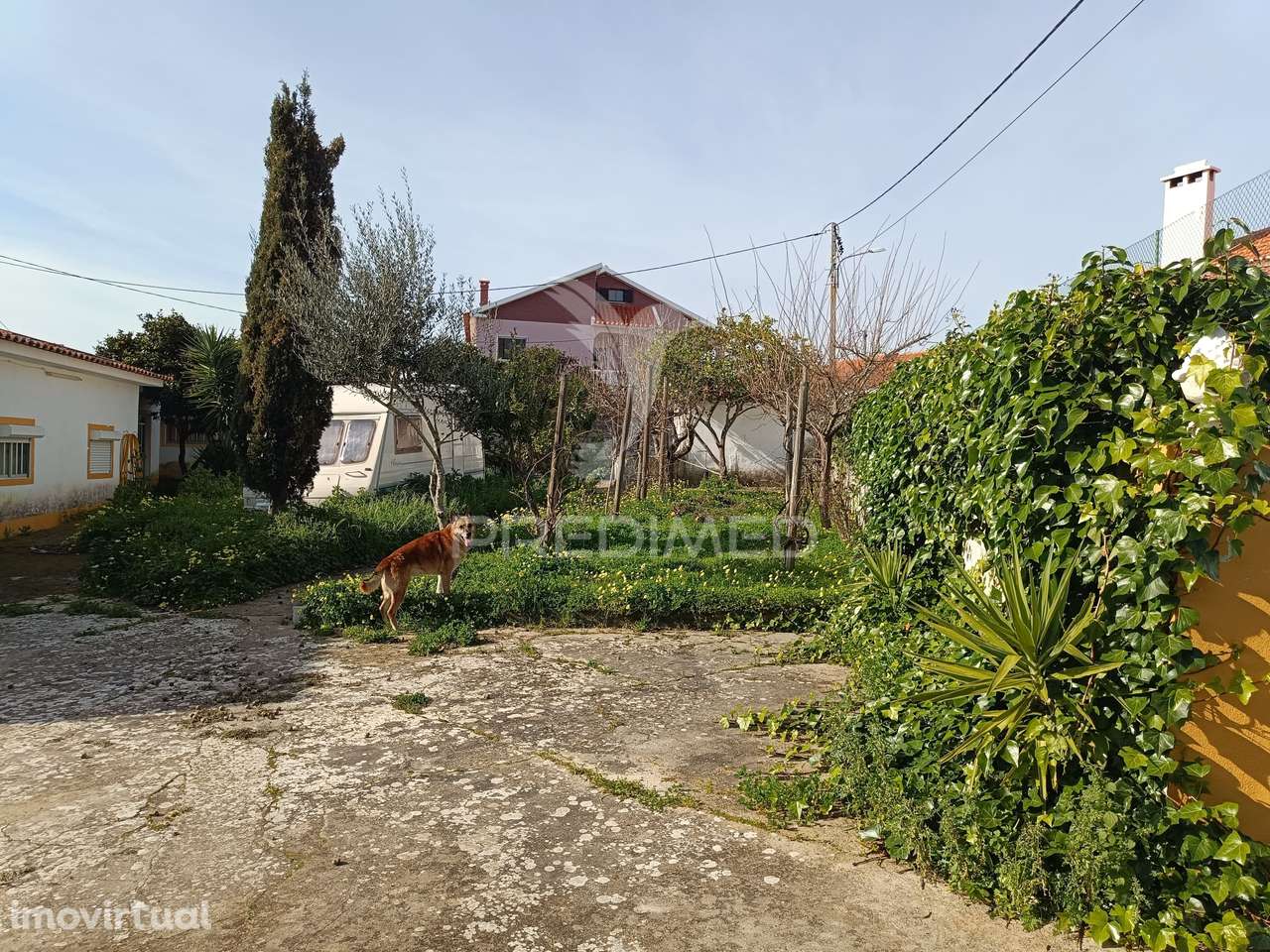 Venda de terreno urbano - Grande imagem: 3/9