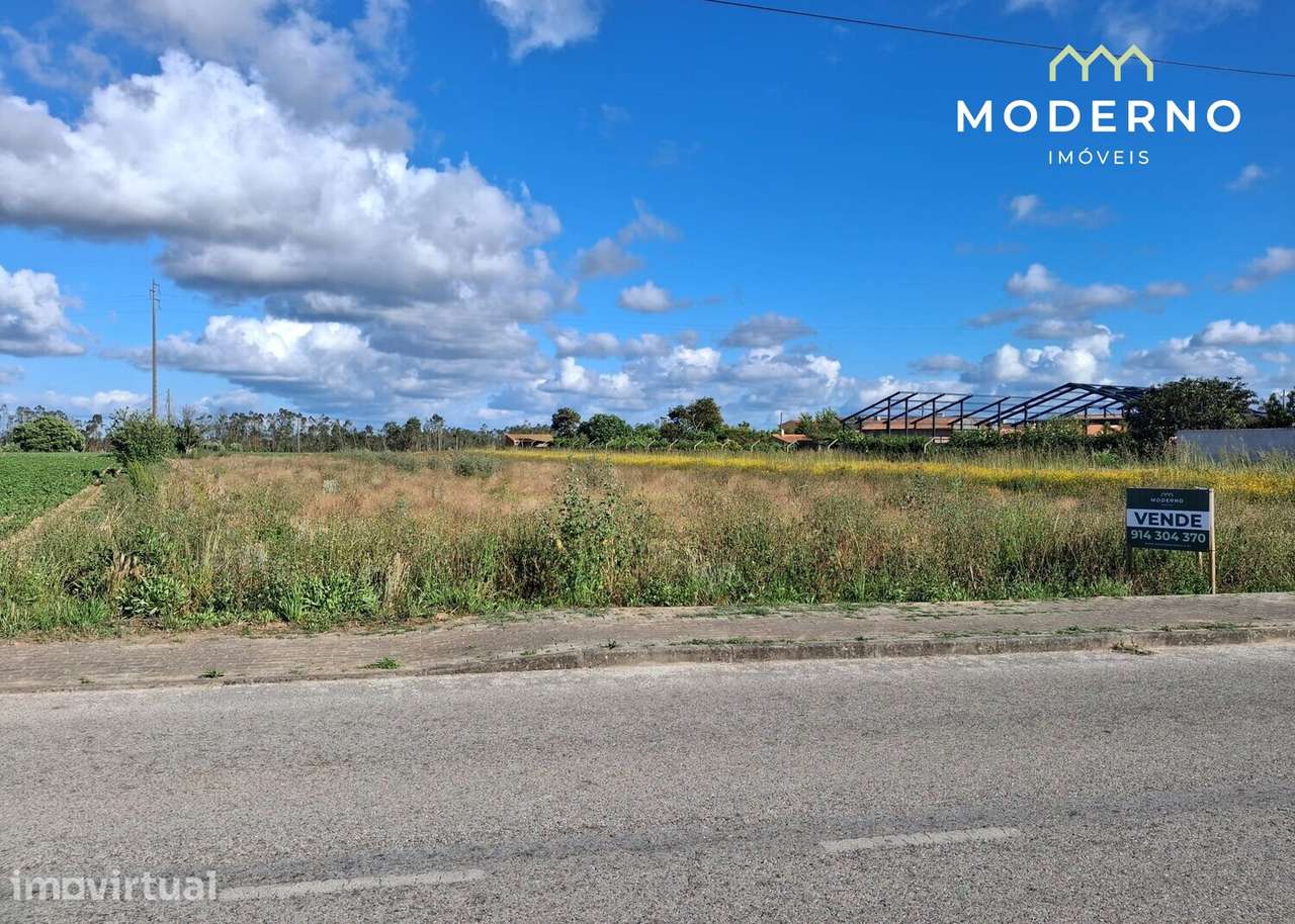Terreno Construção – Antões, Guia, Pombal - Grande imagem: 5/18