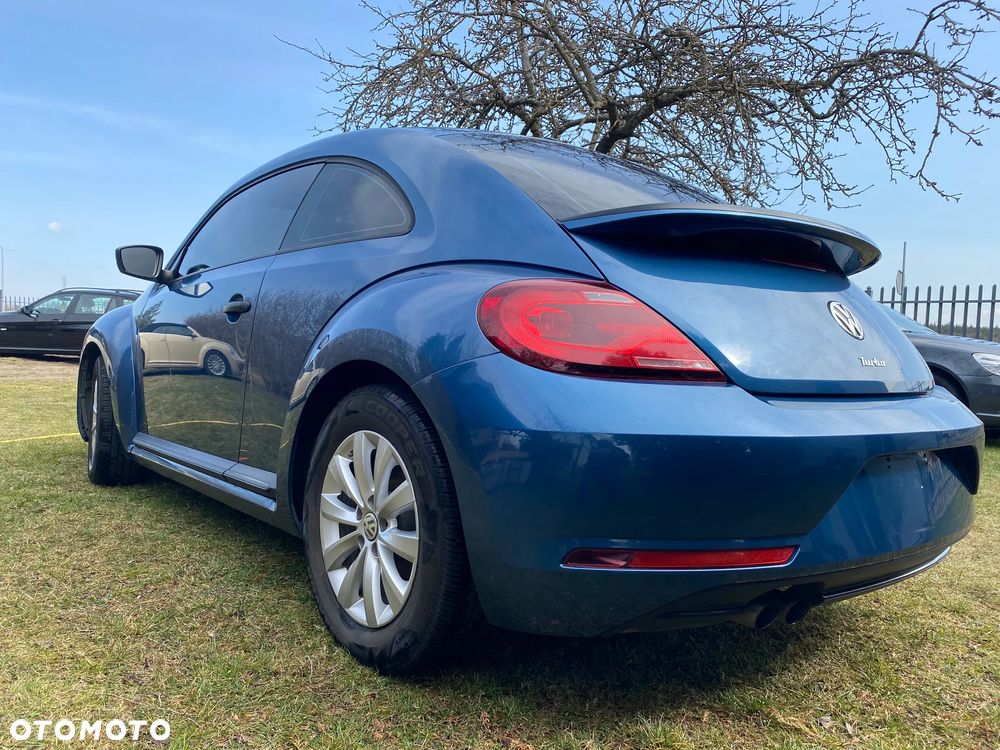 Volkswagen Beetle - 8