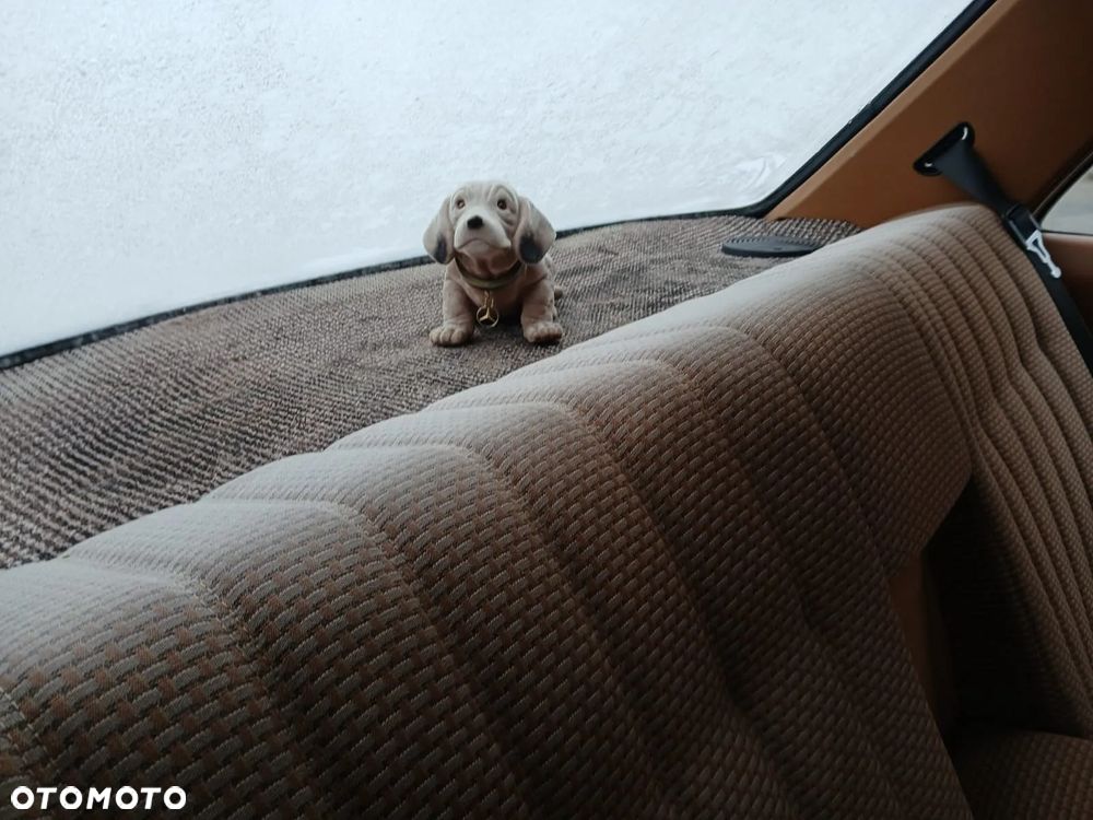 Mercedes-Benz W123 - 21