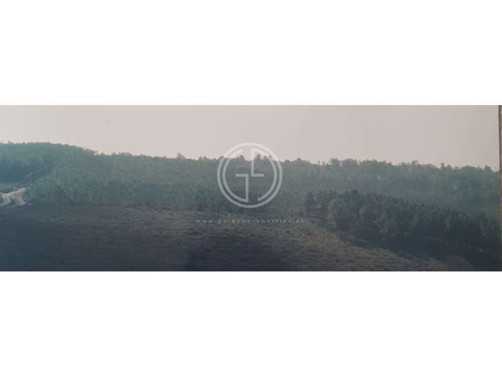 Terreno em Sabrosa, Vila Real - Grande imagem: 2/12