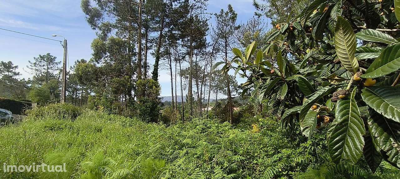 Terreno  para venda - Grande imagem: 4/5