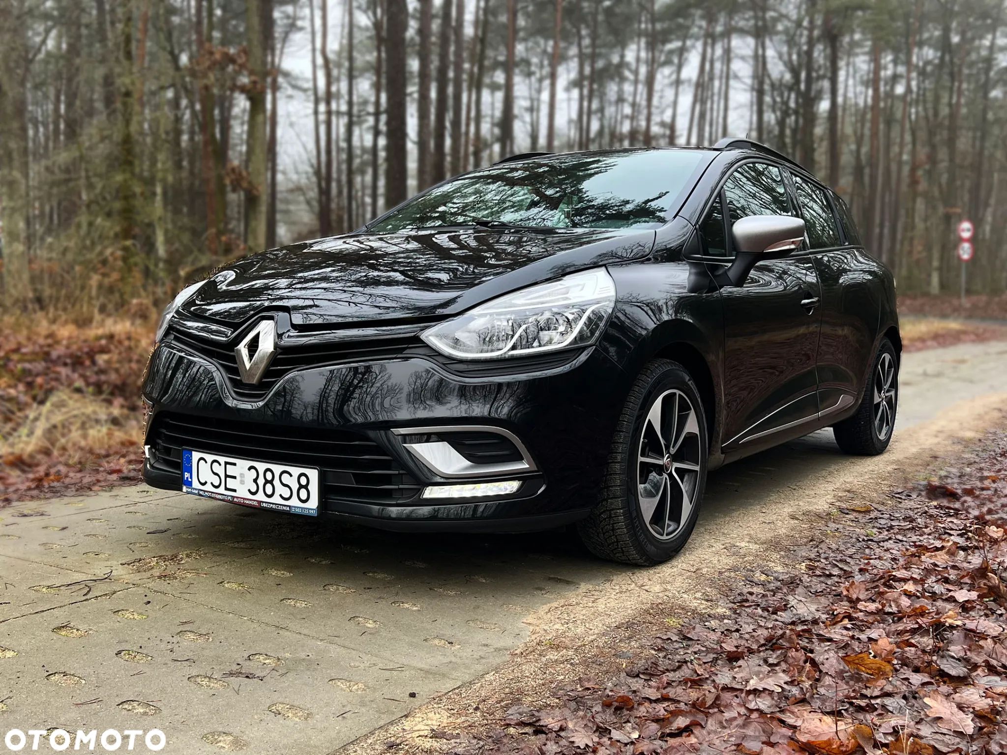 Renault Clio - 1