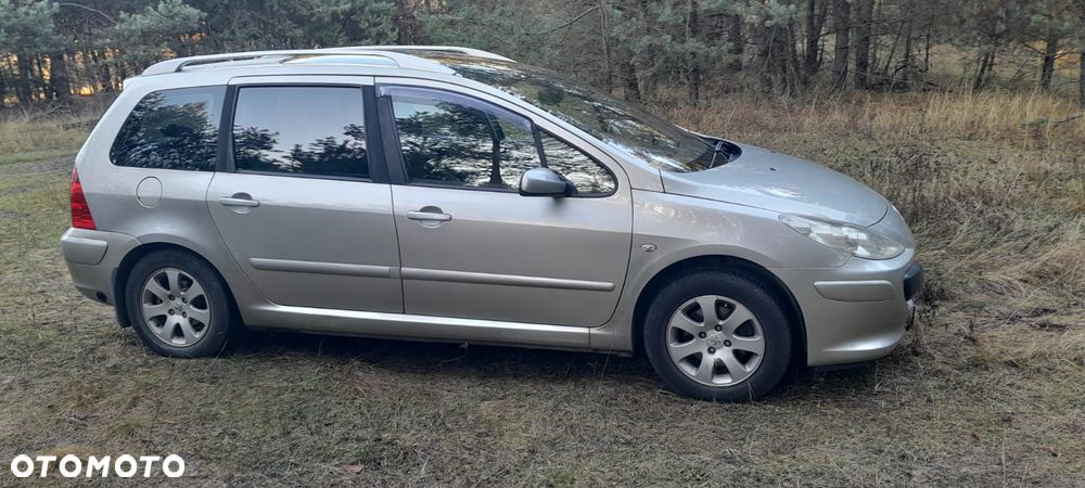 Peugeot 307 1.6 Premium - 3