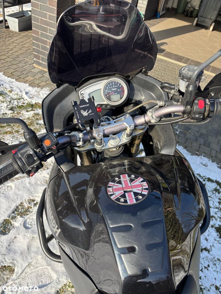 Triumph Tiger - 9