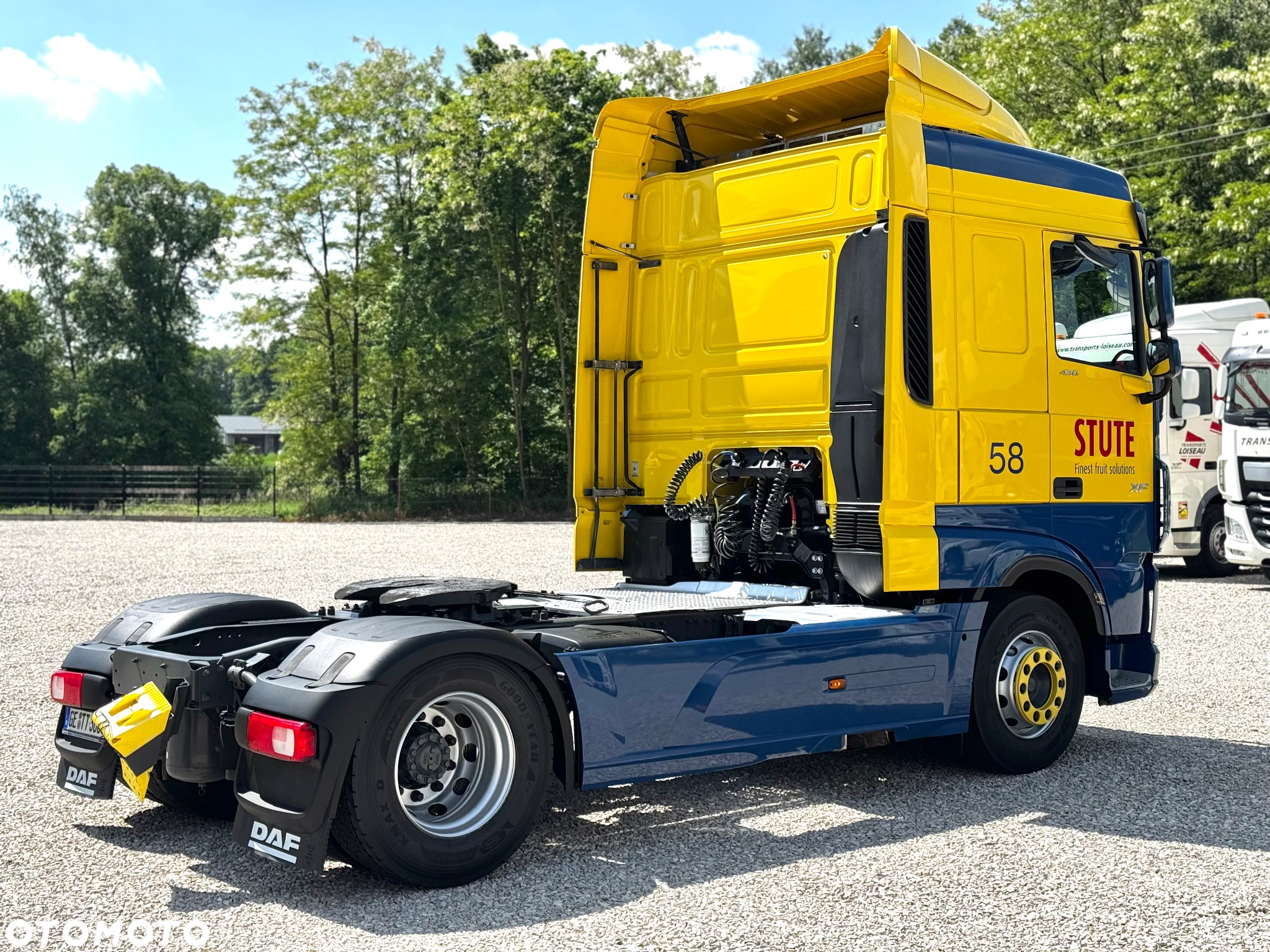 DAF 106 XF 430/MOTOR 13 L/z Niemiec - 5