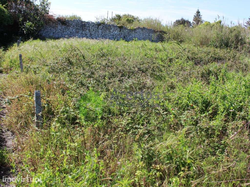 ÓPTIMO INVESTIMENTO CENTRO CIDADE - Grande imagem: 4/8