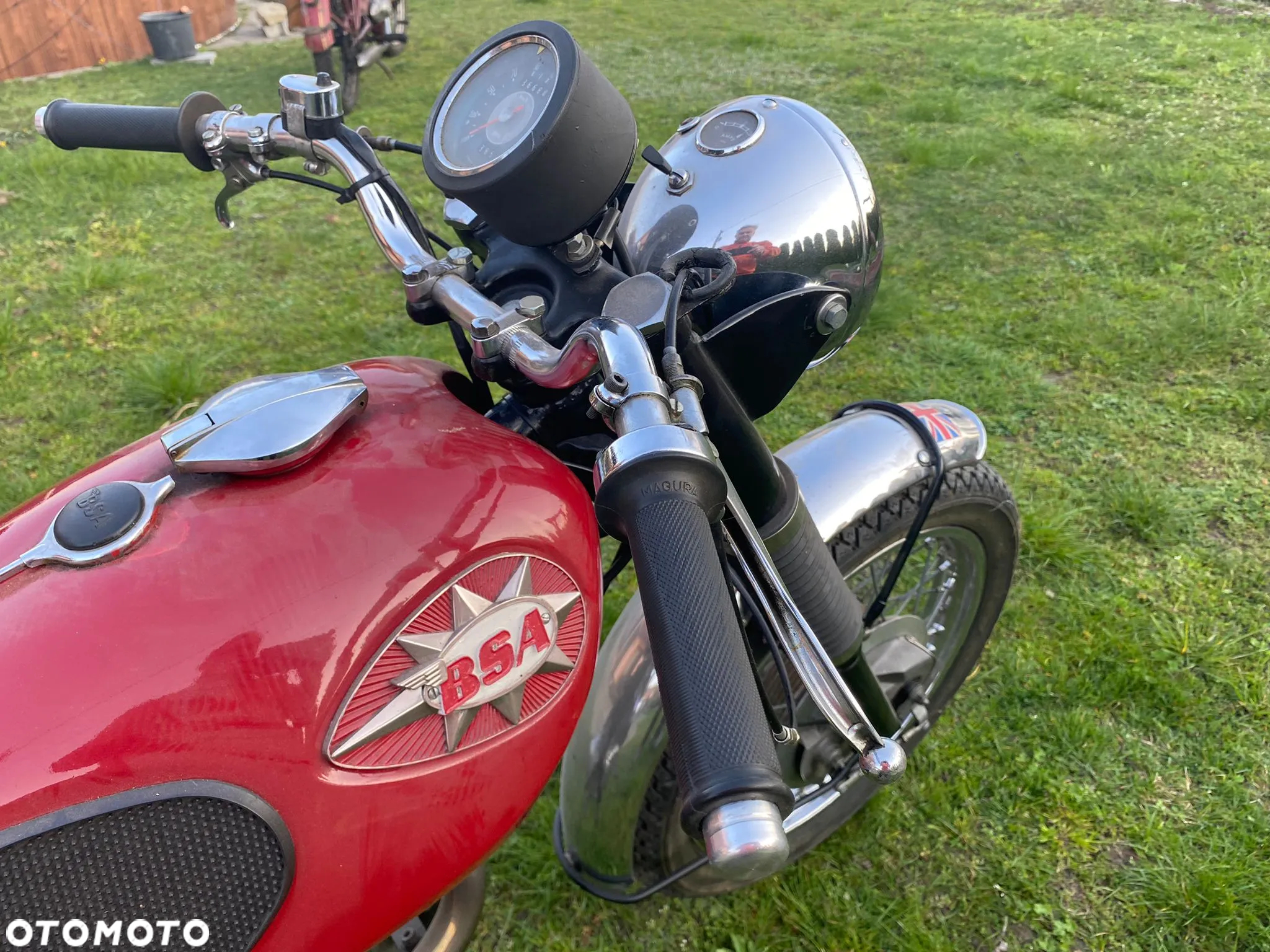 BSA Inny - 21