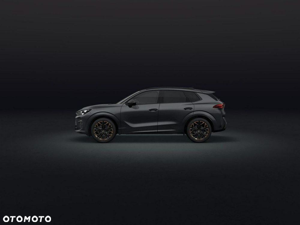 Cupra Terramar - 3