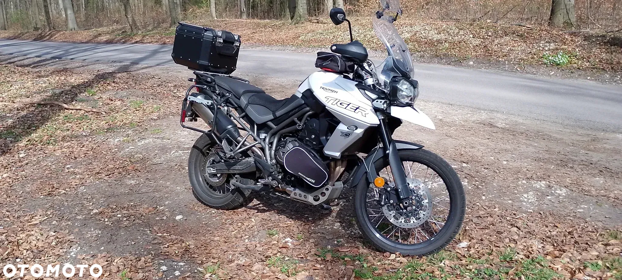 Triumph Tiger