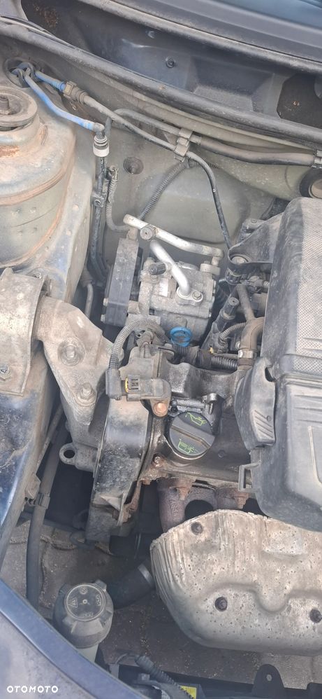 Fiat Punto - 13