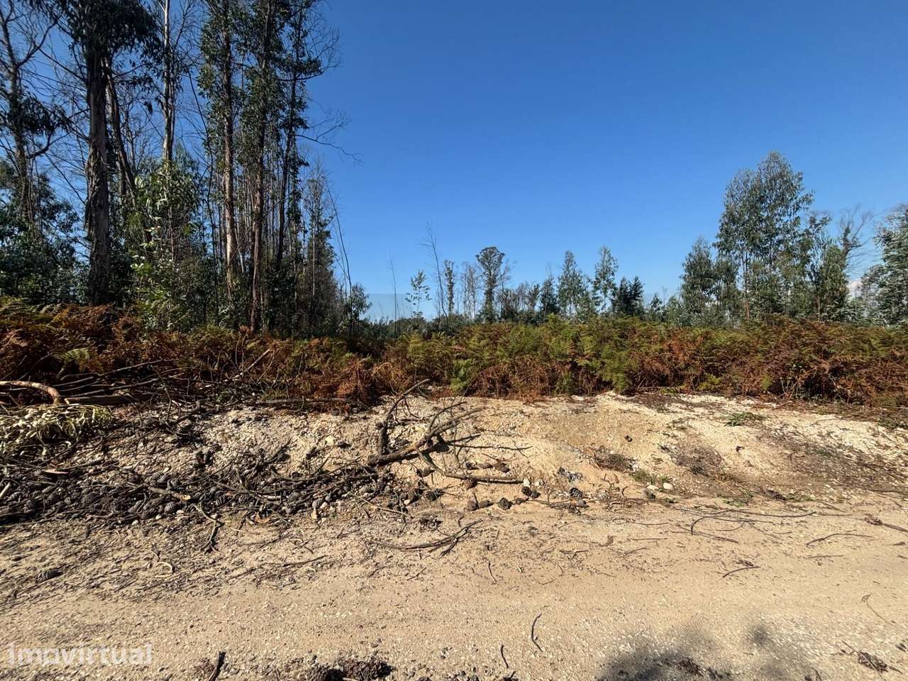 Terreno com 4400 m2 - Grande imagem: 4/6
