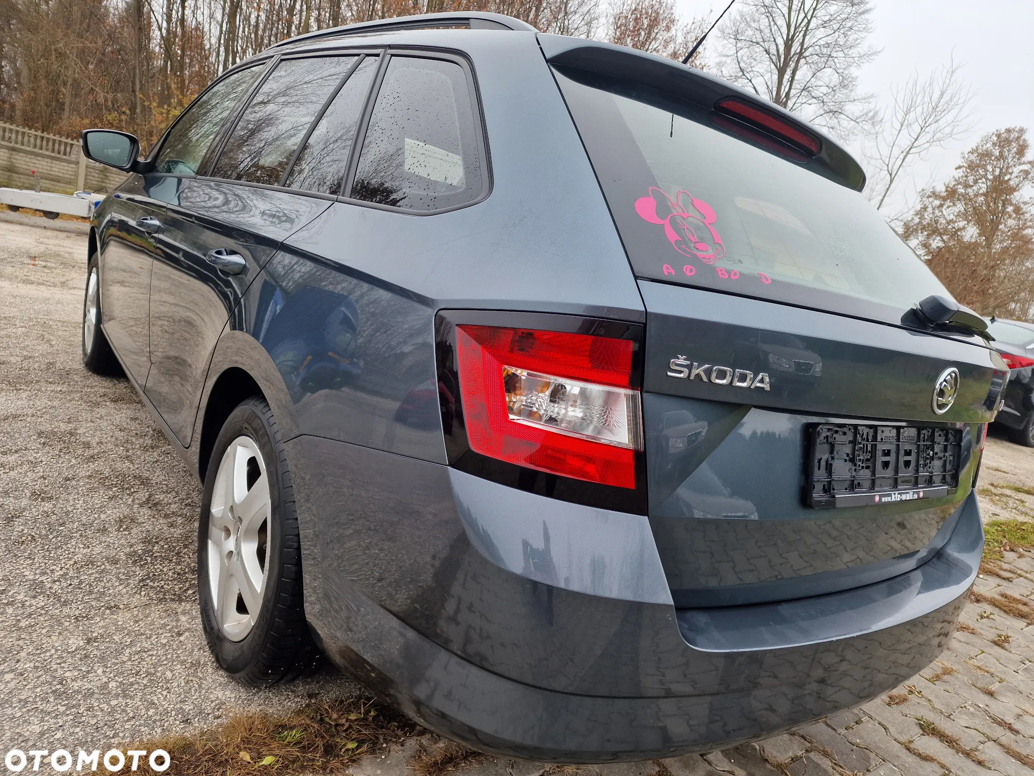 Skoda Fabia 1.4 TDI Ambition - 4