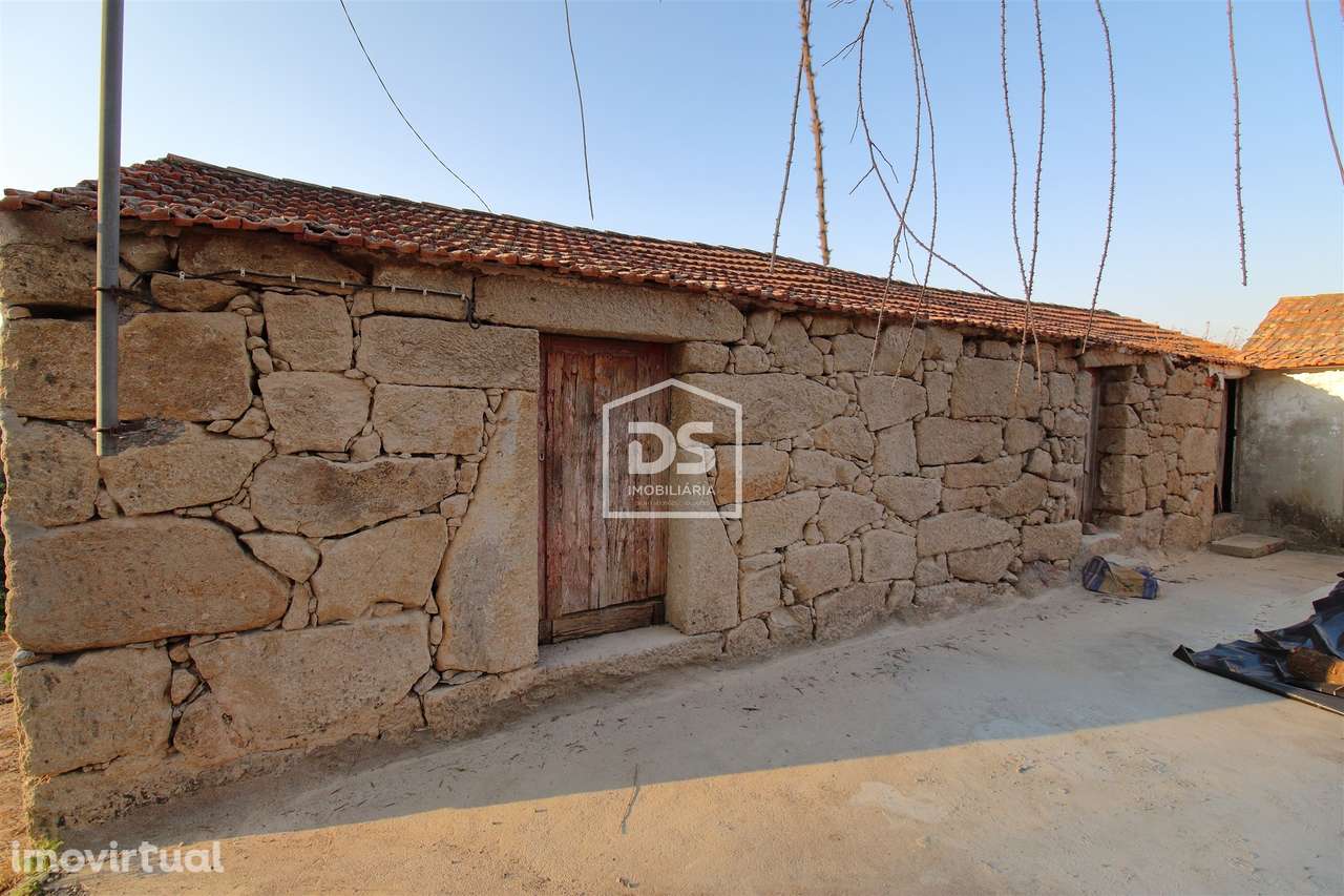 Quinta  Venda em Santiago de Piães,Cinfães - Grande imagem: 3/18