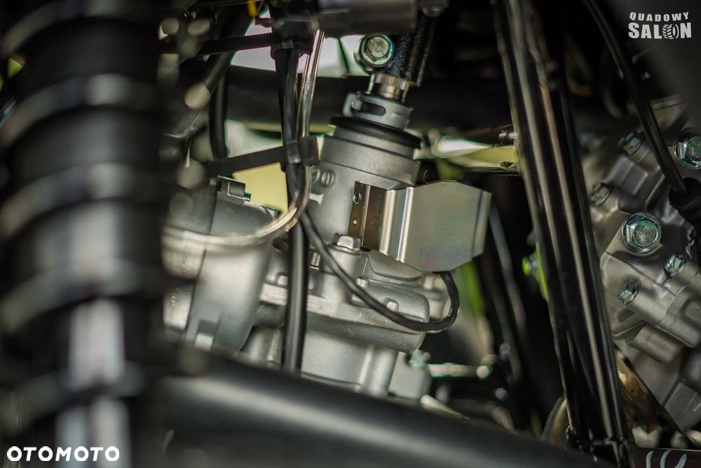 Kawasaki Brute Force - 20