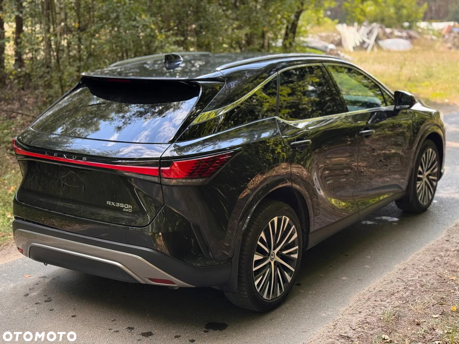 Lexus RX 350h (hybrid) Business - 14
