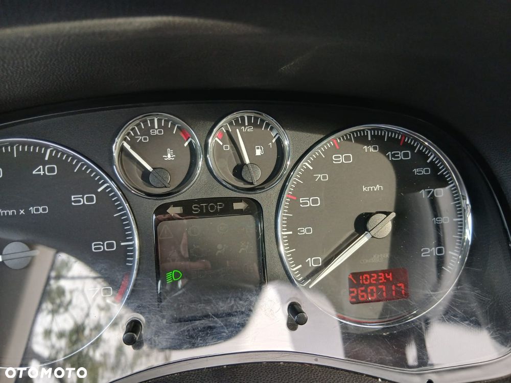 Peugeot 307 1.6 D-sign - 12