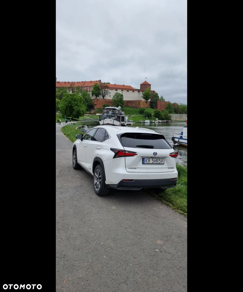 Lexus NX 300h Elegance AWD - 4