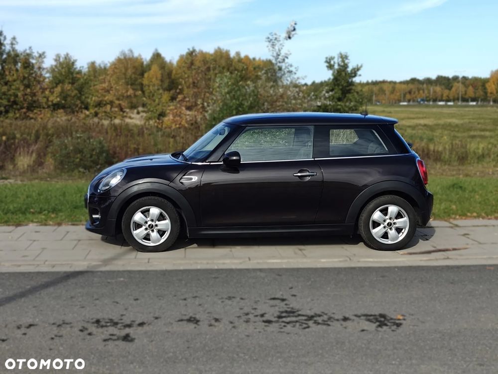MINI ONE Blackyard - 11