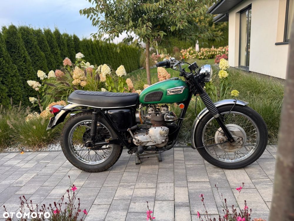 Triumph Trophy - 5