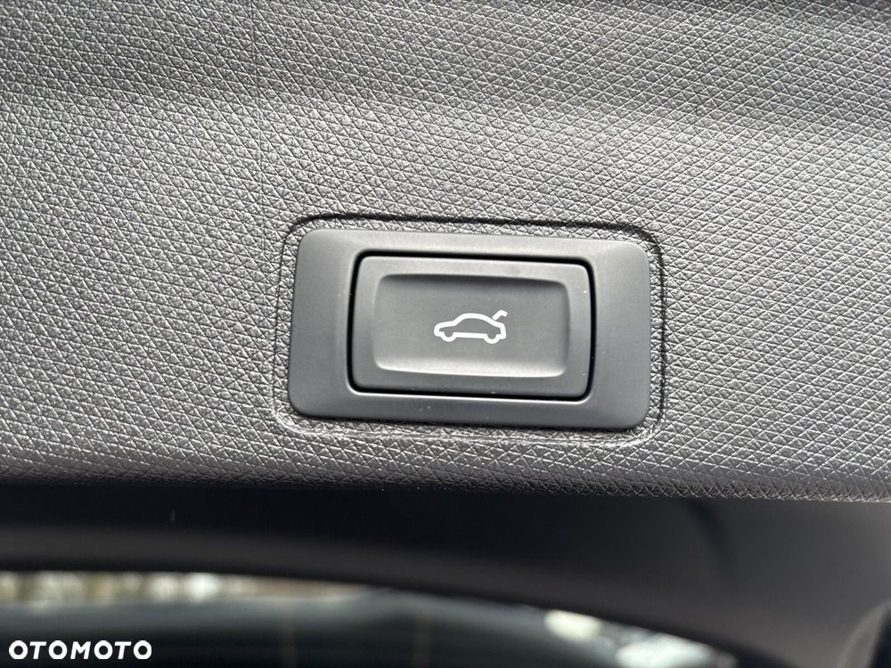 Cupra Terramar - 20