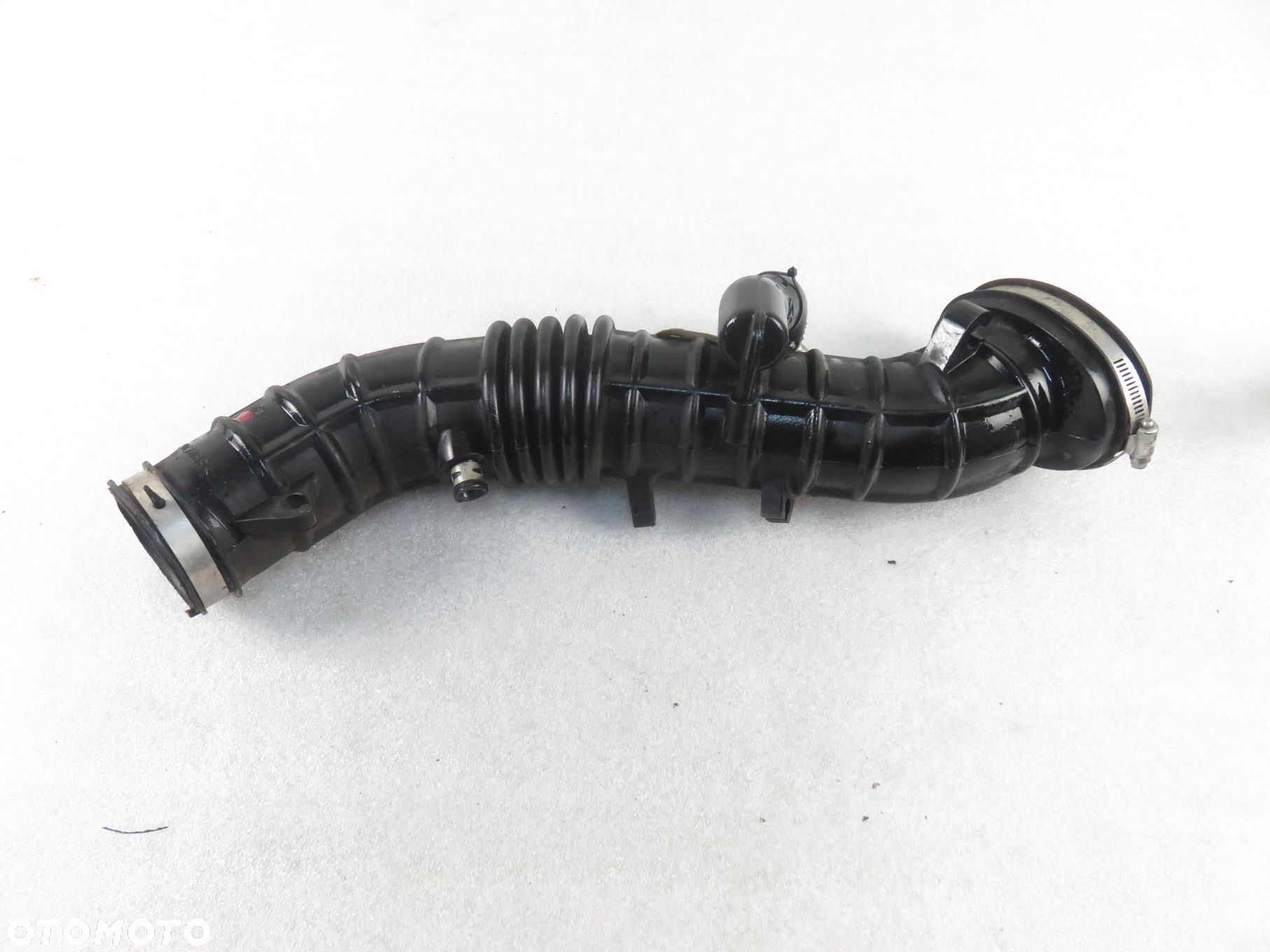 RURA DOLOTU HONDA ACCORD VI 2.0 VTEC 147 - F20B6 - 1