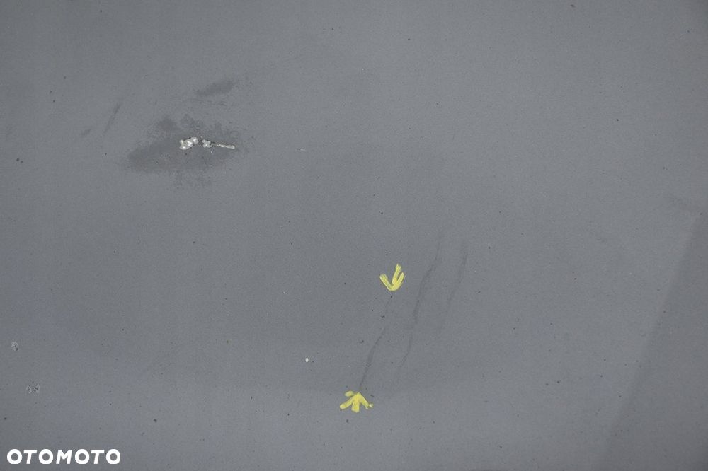 maska pokrywa * silnika honda insight ii - 3