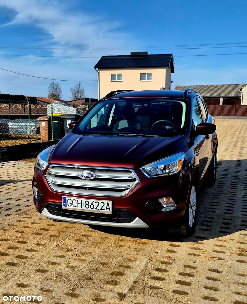 Ford Escape - 1