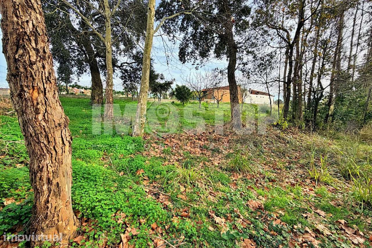 Terreno para construção entre Albergaria-a-Velha e Aveiro - Grande imagem: 3/9