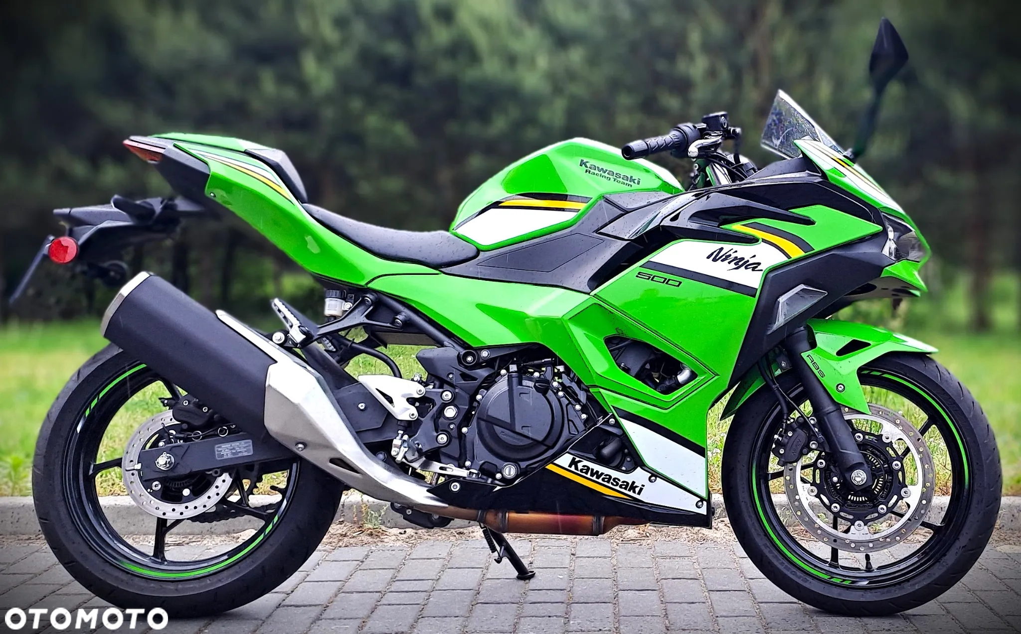 Kawasaki Ninja - 2