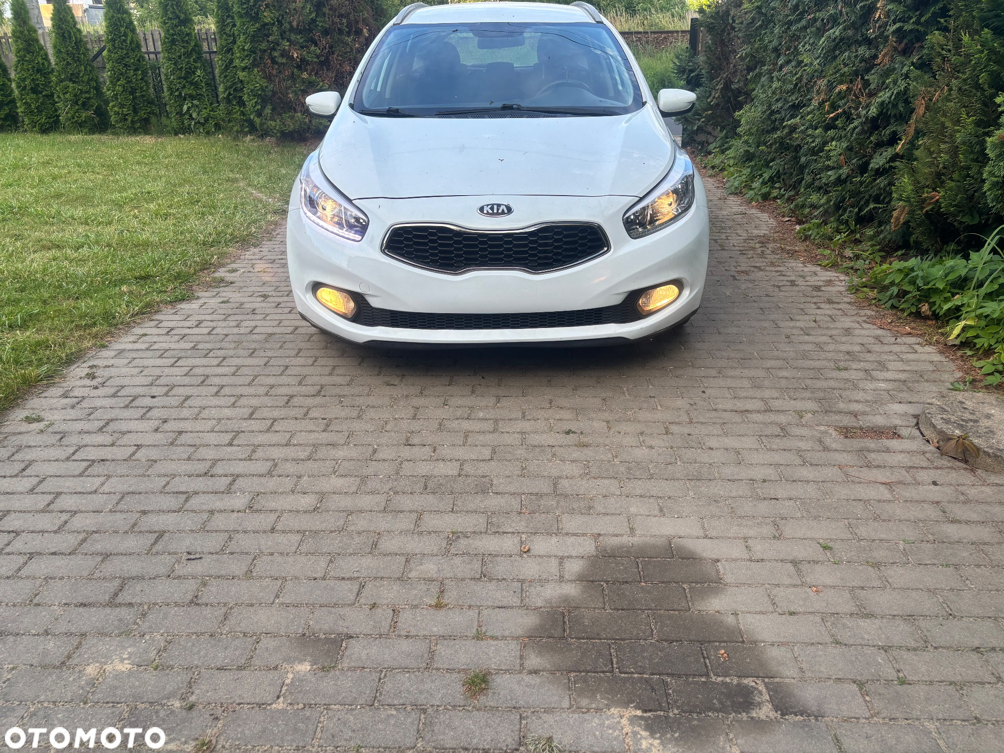 Kia Ceed - 2