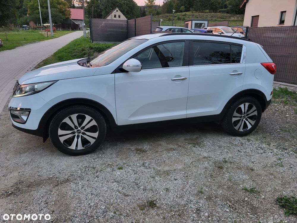 Kia Sportage - 3