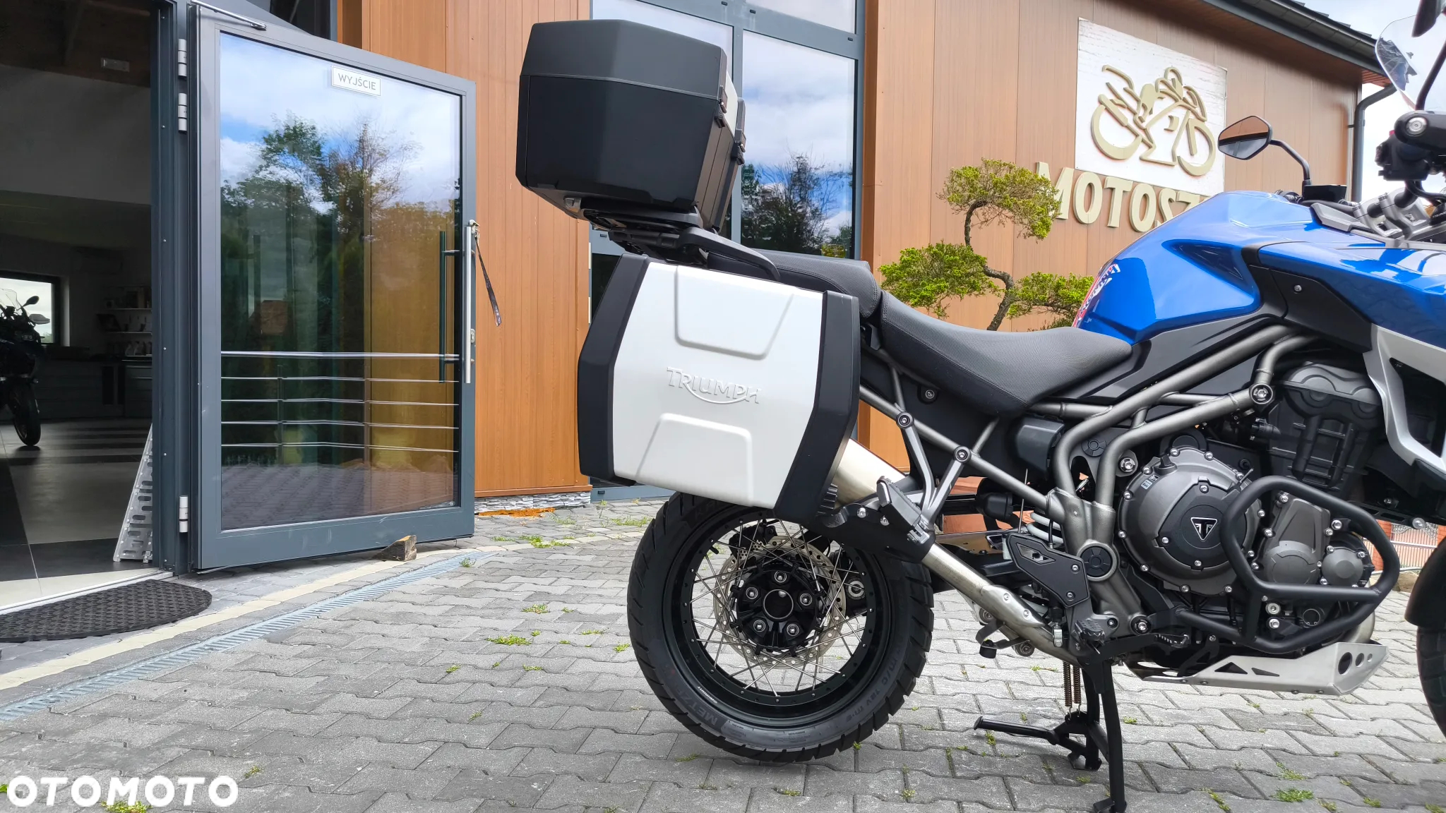 Triumph Tiger - 17