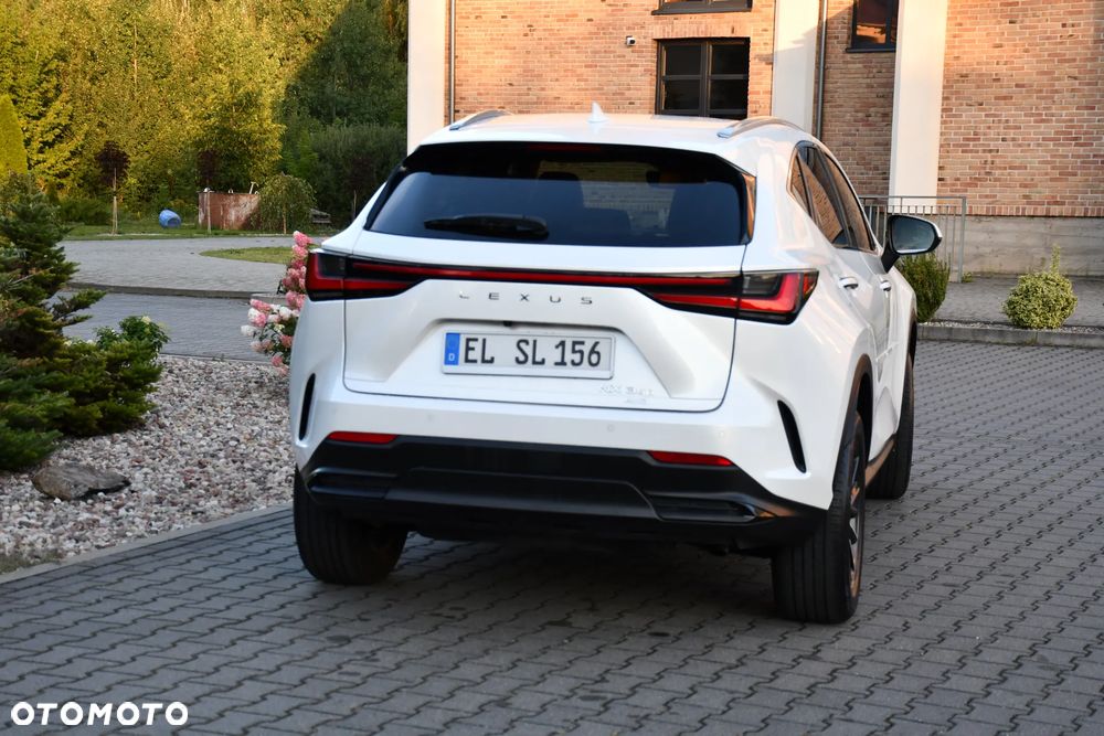 Lexus NX - 19