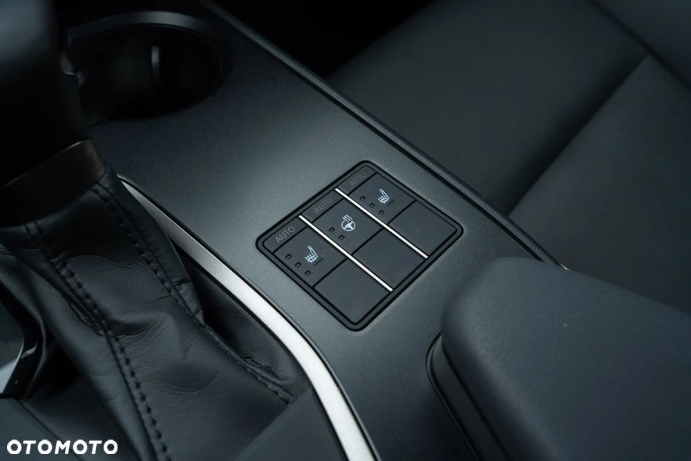 Lexus UX 250h GPF F Sport AWD - 17