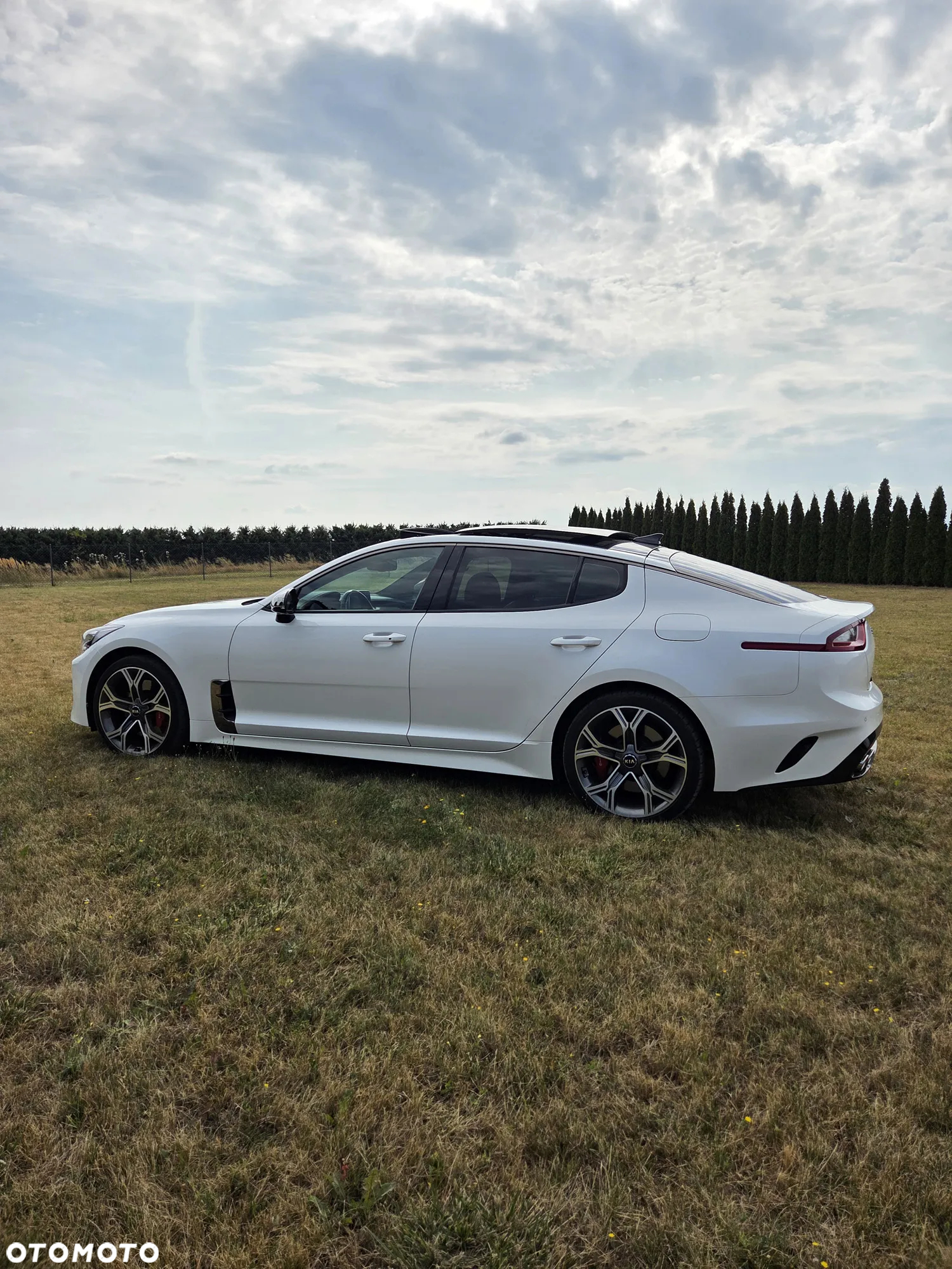 Kia Stinger 3.3 T-GDI V6 GT AWD - 9