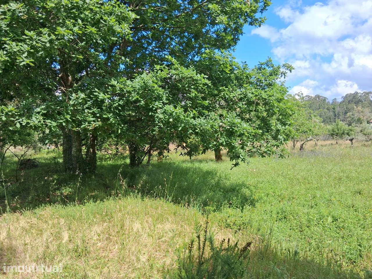 Moradia para Restaurar com Terreno Urbano – Cadaixo, Miranda do Corvo - Grande imagem: 3/40