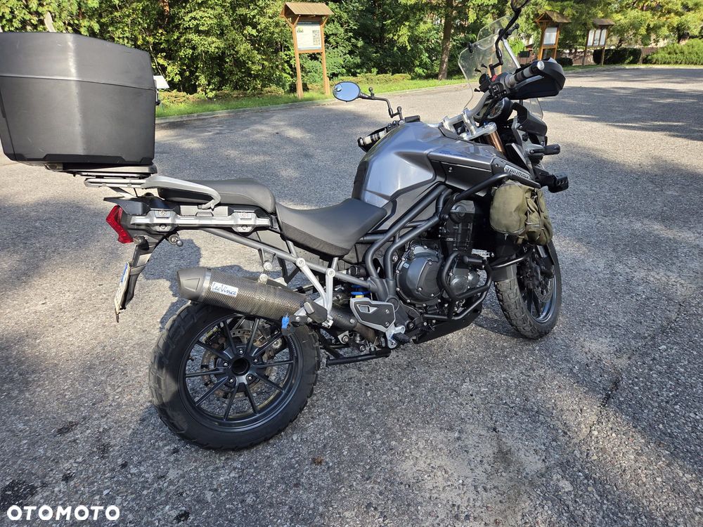 Triumph Tiger - 11
