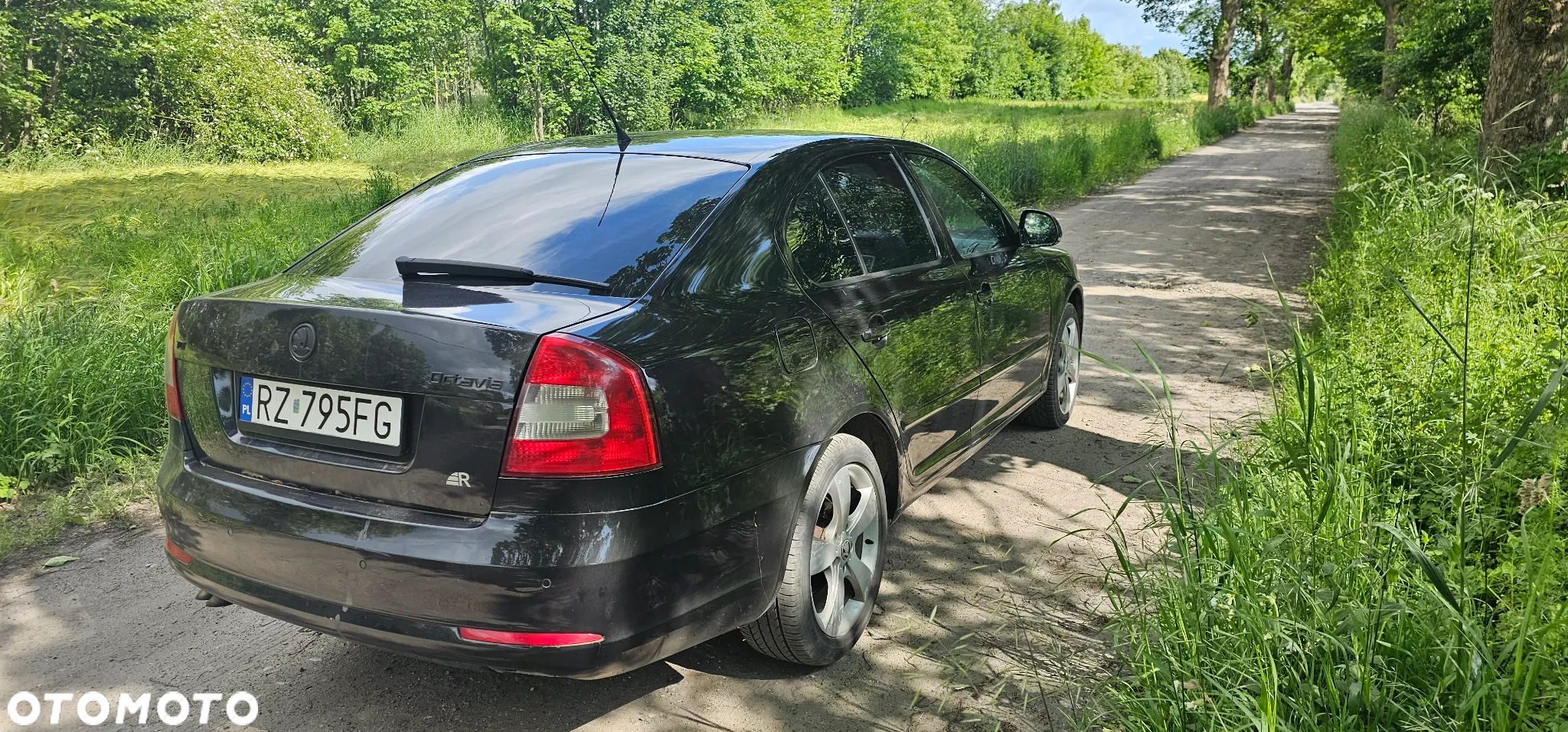 Skoda Octavia - 5