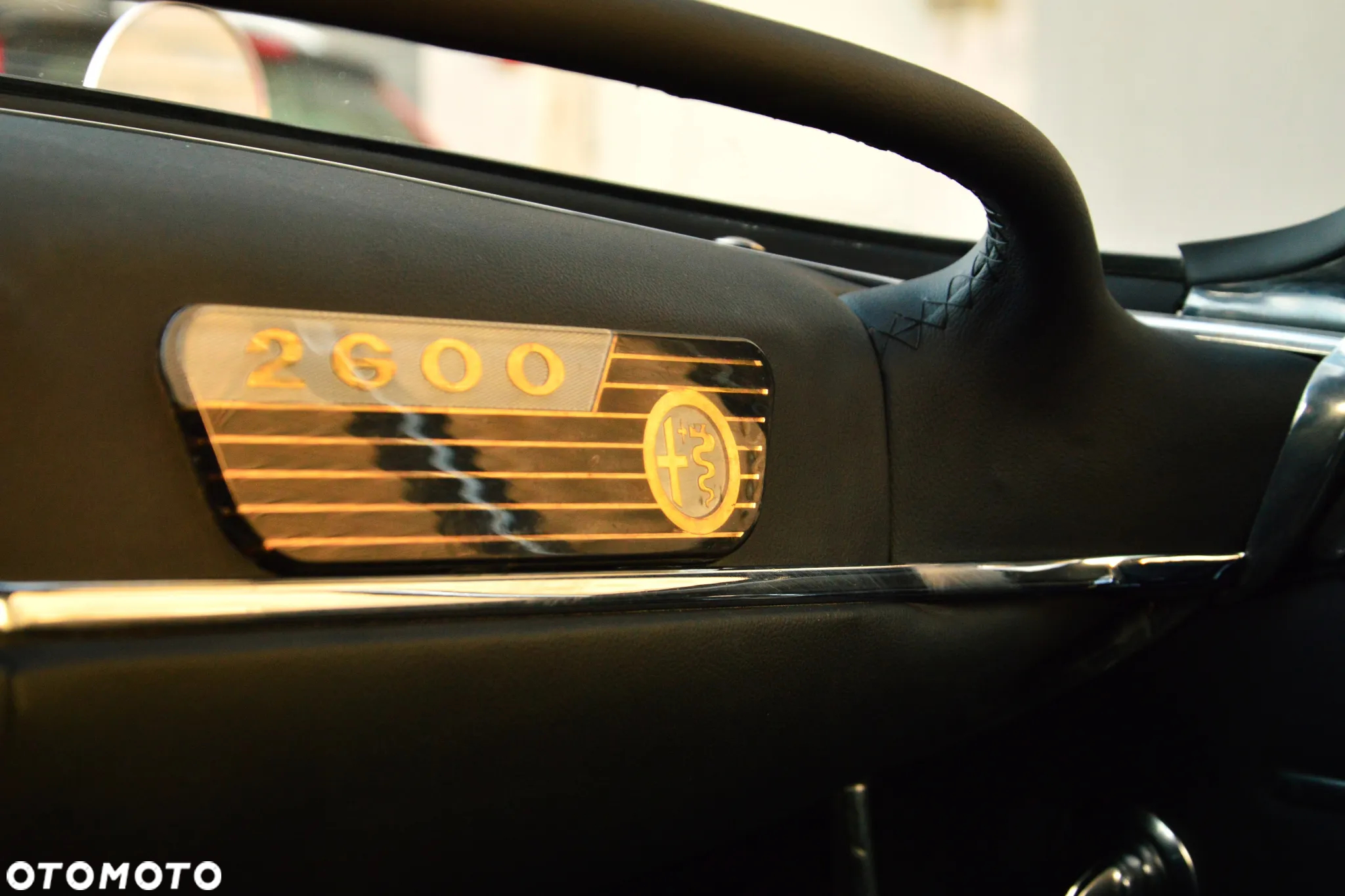 Alfa Romeo Inny - 29