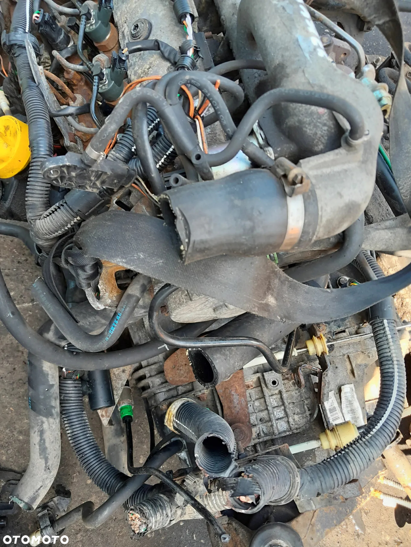 Silnik kompletny Renault Master II 1.9 DCI F9K - 3