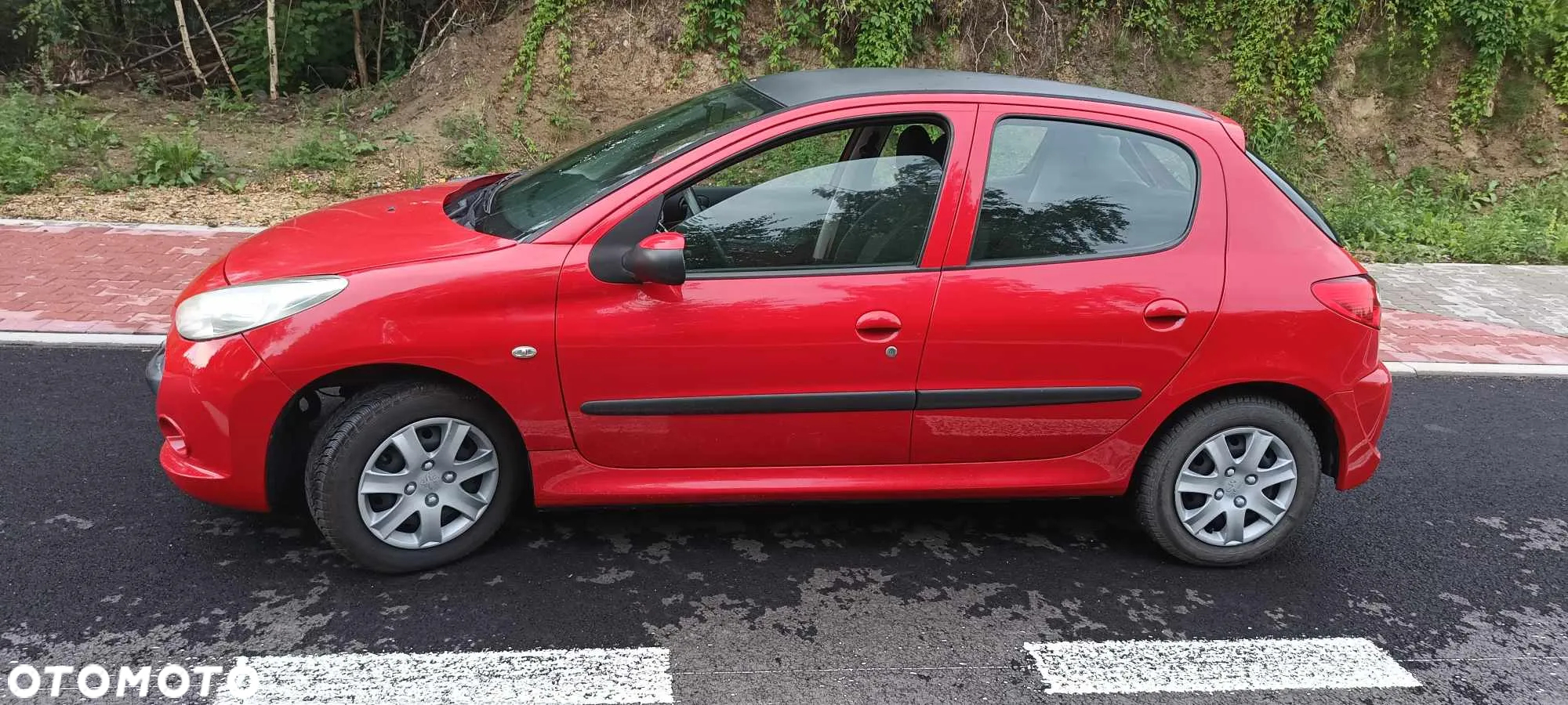 Peugeot 206 plus - 5
