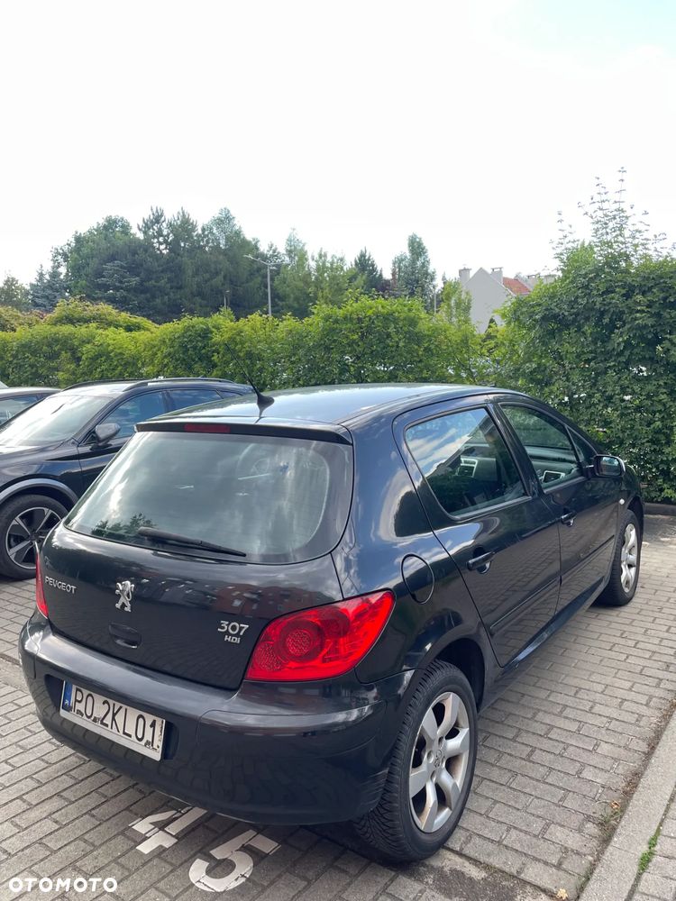 Peugeot 307 1.6 HDi - 6