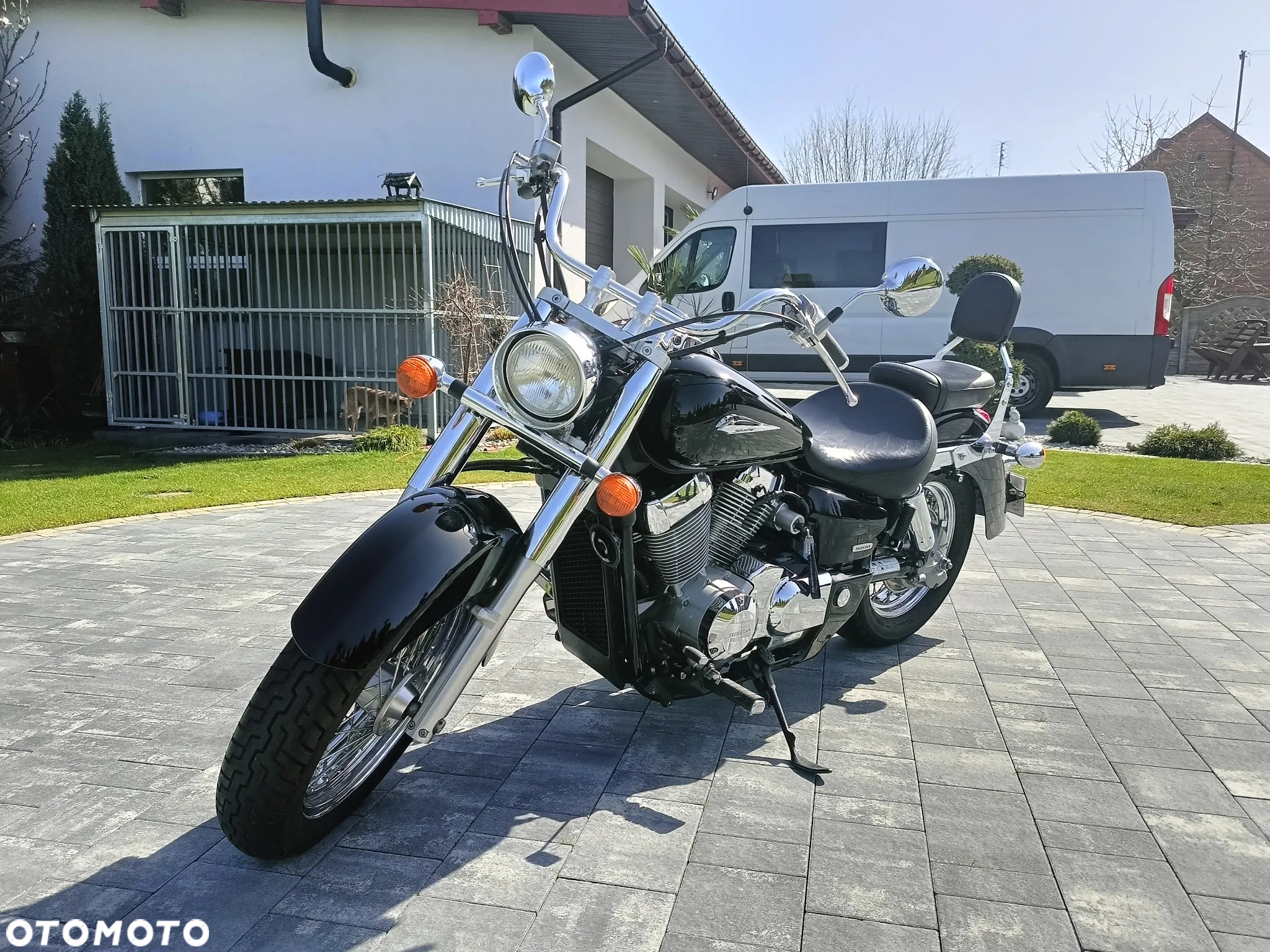 Honda Shadow - 3