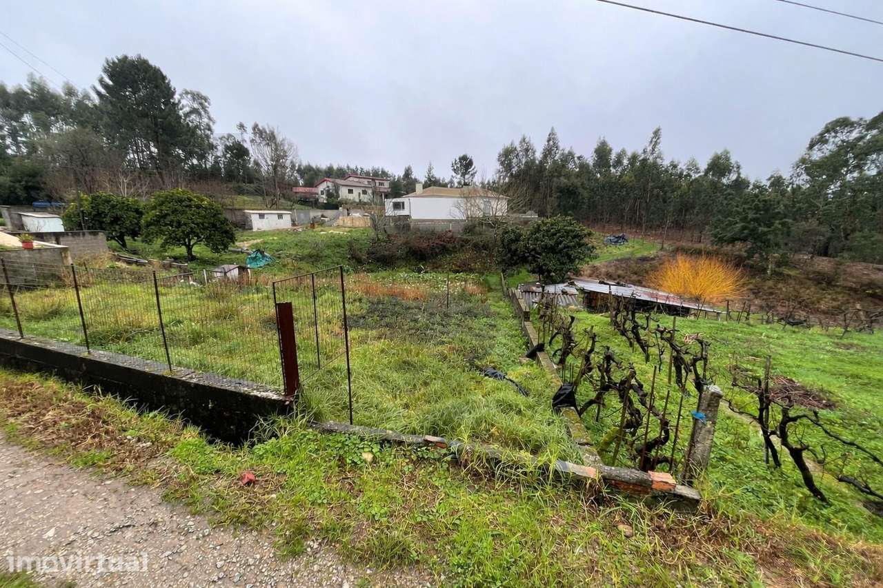 Terreno Urbano de 590 m2 com Elevado Potencial de Construção - Águeda - Grande imagem: 4/9
