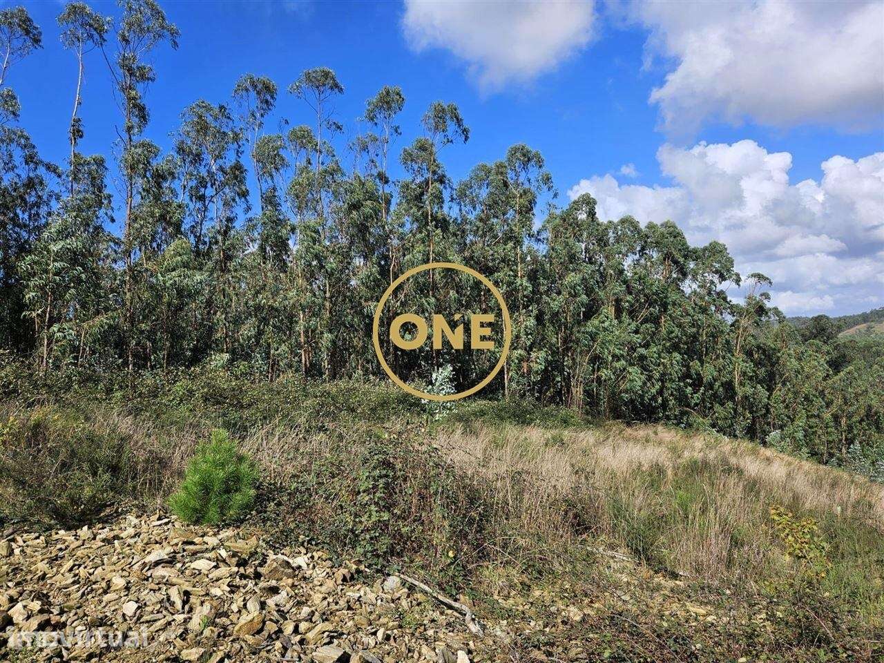 Terreno Florestal em Balazar - Grande imagem: 2/17