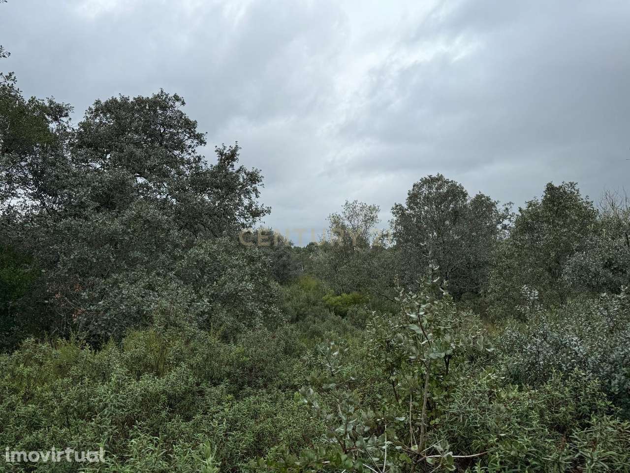 Terreno Rústico à Venda 23.000€ – Pernes, Malhou, Louriceira e Espinhe - Grande imagem: 2/17