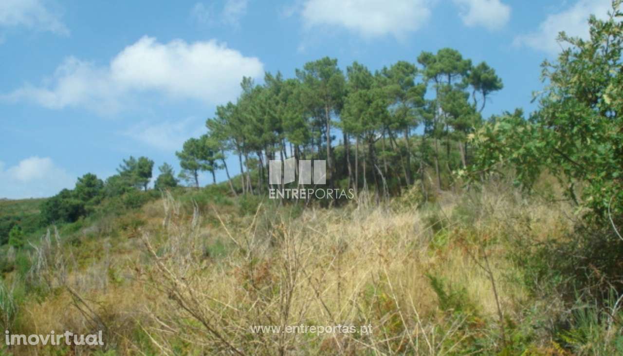 Venda Terreno, Gestaçô, Baião - Grande imagem: 4/25